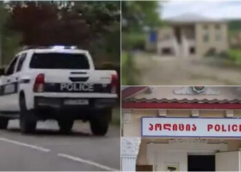 „ბავშვს ჯოხი ჩაურტყამს მამლისთვის და მოუკლავს… ამის გამო სცემეს…” – რა ახალი დეტალები ხდება ცნობილი მცირეწლოვანზე ძალადობის საქმეში?