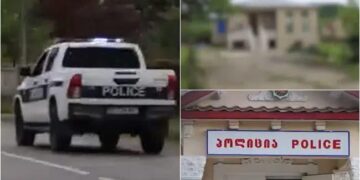 „ბავშვს ჯოხი ჩაურტყამს მამლისთვის და მოუკლავს… ამის გამო სცემეს…” – რა ახალი დეტალები ხდება ცნობილი მცირეწლოვანზე ძალადობის საქმეში?