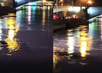 რა ინფორმაცია ვრცელდება ახალგაზრდა ქალზე, რომელიც წუხელ, მშვიდობის ხიდიდან გადავარდა?