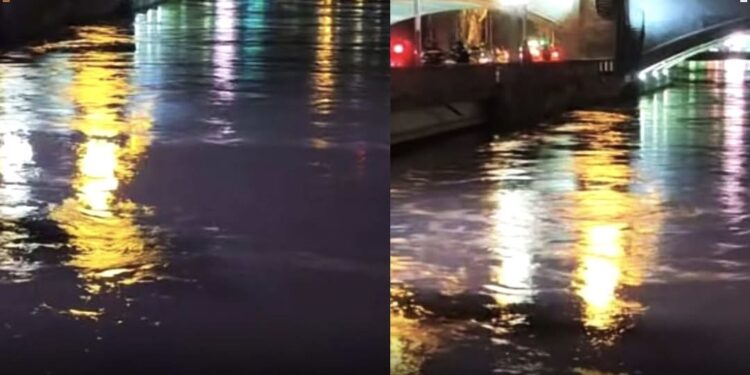 რა ინფორმაცია ვრცელდება ახალგაზრდა ქალზე, რომელიც წუხელ, მშვიდობის ხიდიდან გადავარდა?