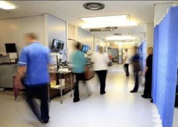 წითელა, კეთრი, მალარია – რატომ იზრდება ვიქტორიანული ეპოქის დაავადებების რიცხვი და რა საფრთხეს უქმნის ის მსოფლიოს?