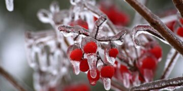 საქართველოს რამდენიმე რეგიონში თოვაა მოსალოდნელი – 14 აპრილის ამინდის პროგნოზი ქალაქების მიხედვით