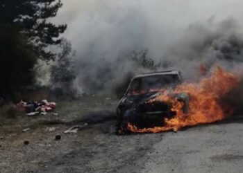 უმძიმესი ავარია შაშვებთან! მანქანა რკინის ჯებირს შეეჯახა და ცეცხლი გაუჩნდა – არის 2 დაღუპული