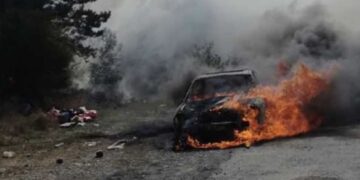 უმძიმესი ავარია შაშვებთან! მანქანა რკინის ჯებირს შეეჯახა და ცეცხლი გაუჩნდა – არის 2 დაღუპული