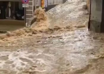 ,,საშინელება ხდება, წითელ ზონაში ვართ, ევაკუაციისთვის მოგვამზადეს…“ – რას წერს ქართველი ემიგრანტი იტალიიდან?