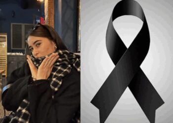 „მუდამ ღიმილიანი და სიცოცხლით სავსე გოგონა, რომელიც სტუდენტობაზე ოცნებობდა, მომავალს გეგმავდა…“ – ტრაგიკულად დაღუპულ მოსწავლეს ემშვიდობებიან