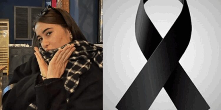 „მუდამ ღიმილიანი და სიცოცხლით სავსე გოგონა, რომელიც სტუდენტობაზე ოცნებობდა, მომავალს გეგმავდა…“ – ტრაგიკულად დაღუპულ მოსწავლეს ემშვიდობებიან