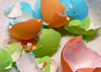 უნდა გადავყაროთ თუ არა სააღდგომო კვერცხის ნაჭუჭს? – როგორია სასულიერო პირების რჩევა