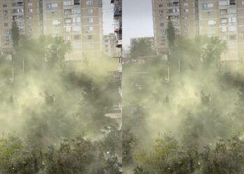 ,,ეს ჩვეულებრივი შხამია” – რა საგანგაშო კადრები ვრცელდება თბილისის ქუჩიდან?