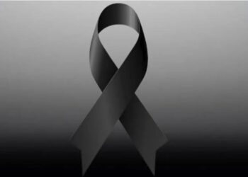 სადრენაჟო სისტემის დასათვალიერებლად ამოჭრილ ორმოში სამი ადამიანი ჩავიდა, რა დროსაც მიწა ჩამოიშალა – საშინელი ტრაგედიის დეტალები