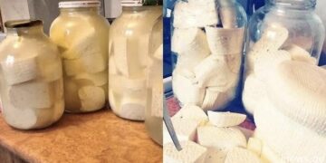 როგორ შევინახოთ ყველი ქილებში ისე, რომ დიდხანს გაძლოს – რჩევები დიასახლისებისაგან