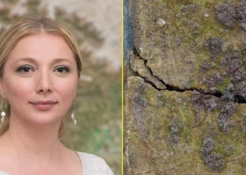 „თბი­ლის­თან ახ­ლოს იყო! რღვე­ვა­ზე გა­და­ად­გი­ლე­ბა ხდე­ბა…“ – რას ამბობს თეა გოდოლაძე გამთენიისას მომხდარ მიწისძვრაზე?