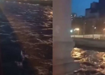 მტკვრის მარცხენა სანაპიროდან საგანგაშო კადრები ვრცელდება!