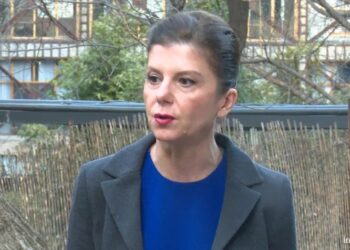 „ამ უთავმოყვარეოებას ხომ ხედავთ?“ – ნახეთ, რას წერს თამარ ჩერგოლეიშვილი