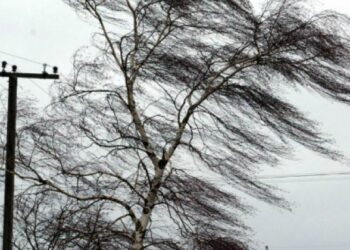 ძლიერი ქარი, დაბალი ტემპერატურა და წვიმა – როდემდე გაგრძელდება უამინდობა საქართველოში?