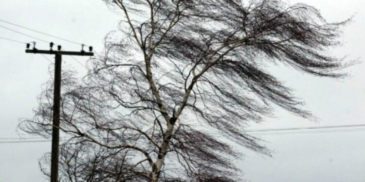 ძლიერი ქარი, დაბალი ტემპერატურა და წვიმა – როდემდე გაგრძელდება უამინდობა საქართველოში?