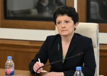 „არ მინდოდა ამის თქმა, მაგრამ თქვენ…“ – თეა წულუკიანმა გიორგი გახარიას მიმართა