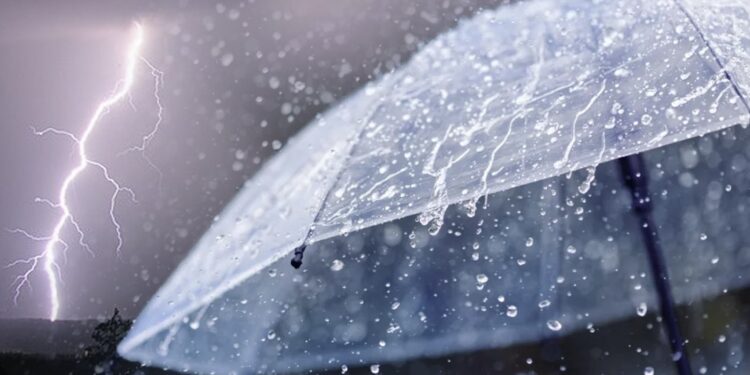 მაისიც დადგა, მაგრამ რეალური გაზაფხული ჯერ არა – ცნობილია, როგორი ამინდია მაისის პირველ რიცხვებში