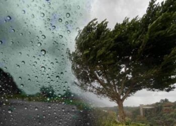 წვიმა და ქარი – როდიდან გაუარესდება ისევ ამინდი?