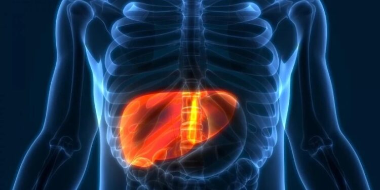 „ღვიძლს ანადგურებს…“ – ახალი კვლევის საგანგაშო შედეგები