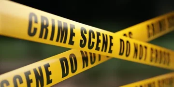 ,,ბავშვებს ხორცის საჭრელი 100-ჯერ დაარტყა” – სამუდამო პატიმრობა მიუსაჯეს დედას, რომელმაც 2 შვილი მოკლა (ვიდეო)