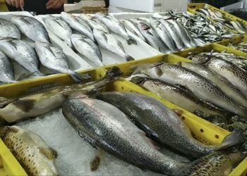 ამოღებულია ჯანმრთელობისთვის საშიში თევზი! – სურსათის ეროვნული სააგენტო მოსახლეობას აფრთხილებს!