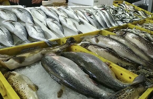 ამოღებულია ჯანმრთელობისთვის საშიში თევზი! – სურსათის ეროვნული სააგენტო მოსახლეობას აფრთხილებს!