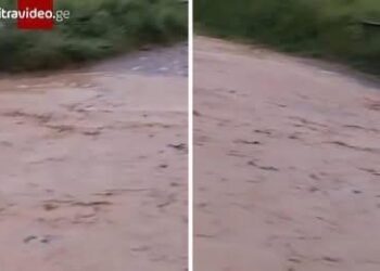 ,,ჩვეულებრივი მდინარე მოდის” – რა კადრები ვრცელდება დიდი დიღმიდან?