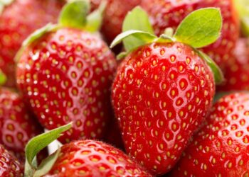 ,,მარწყვის გარეცხვისას ამ შეცდომას ძალიან ბევრი ადამიანი უშვებს…” – რა უნდა გაითვალისწინოთ, რომ მარწყვმა სასარგებლო თვისებები შეინარჩუნოს?