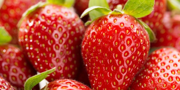 ,,მარწყვის გარეცხვისას ამ შეცდომას ძალიან ბევრი ადამიანი უშვებს…” – რა უნდა გაითვალისწინოთ, რომ მარწყვმა სასარგებლო თვისებები შეინარჩუნოს?