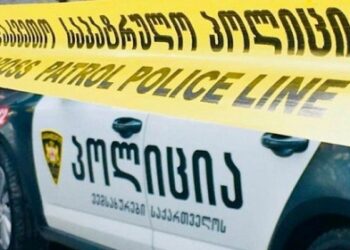 მეზობლად მცხოვრებ დედა-შვილს, განსაკუთრებული სისასტიკით ჭრილობები მიაყენა…დედა დაიღუპა – უმძიმესი დეტალები