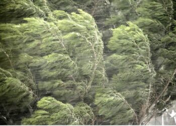 წვიმა ელჭექით და ძლიერი ქარი – როდიდან გაუარესდება ამინდი საქართველოში?