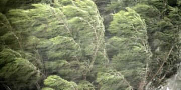 წვიმა ელჭექით და ძლიერი ქარი – როდიდან გაუარესდება ამინდი საქართველოში?