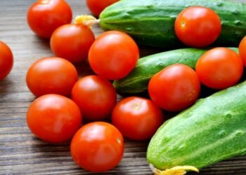 როგორ ამოვიცნოთ, არის თუ არა პომიდორსა და კიტრში სახიფათო რაოდენობით ნიტრატები?