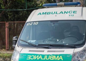 ზუგდიდში 15 წლის ბიჭი თხილნარში გარდაცვლილი იპოვეს – რა არის ცნობილი ტრაგედიის შესახებ?