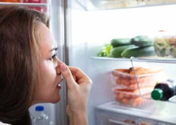 როგორ გავაქროთ არასასიამოვნო სუნი მაცივრიდან- 3 უმარტივესი მეთოდი და საოცარი შედეგი