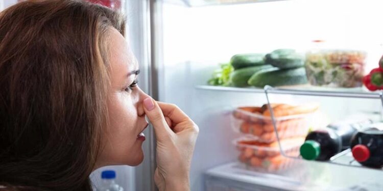 როგორ გავაქროთ არასასიამოვნო სუნი მაცივრიდან- 3 უმარტივესი მეთოდი და საოცარი შედეგი