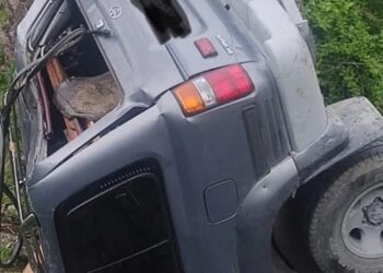 მანქანა ხიდიდან გადავარდა – არის მსხვერპლი