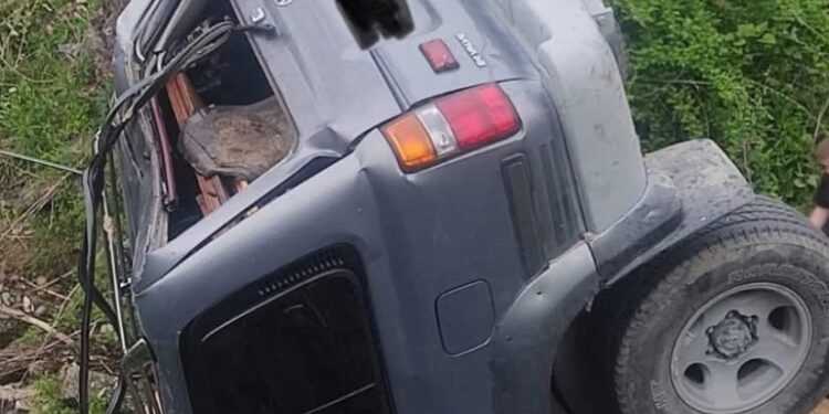 მანქანა ხიდიდან გადავარდა – არის მსხვერპლი