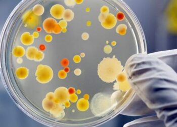 გამოვლინდა ბოტულიზმის შემთხვევა! -სურსათის ეროვნული სააგენტო მოსახლეობას აფრთხილებს