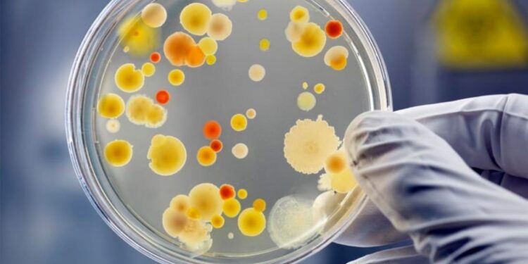 გამოვლინდა ბოტულიზმის შემთხვევა! -სურსათის ეროვნული სააგენტო მოსახლეობას აფრთხილებს