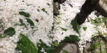 ძლიერმა სეტყვამ პრობლემები შექმნა