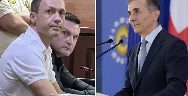 ,,ის შეპყრობილი იყო საკუთარი მოკვდაობით… იტარებს ექსპერიმენტულ, გიჟურ პროცედურებს, როგორიცაა…” – რას ამბობს ბაჩიაშვილი ივანიშვილზე?