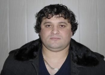 იტალიაში სპეცოპერაციის შედეგად მინდია ლავასოღლი  დააკავეს