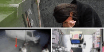 ცემით მოკლული მამა და ნაცემი შვილი – რატომ გაიმეტეს შვილის თვალწინ ახალგაზრდებმა 43 წლის კაცი?