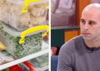 შეიძლება თუ არა საკვების გაყინვა და რამდენი ხანია გაყინული საკვები პროდუქტის ვარგისიანობა – ზაზა თელიას რეკომენდაციები