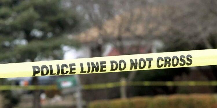 უმძიმესი ტრაგედია – თაფლობის თვე ტრაგედიით დასრულდა, 29 წლის მამაკაცს მეხმა დაარტყა და დაიღუპა