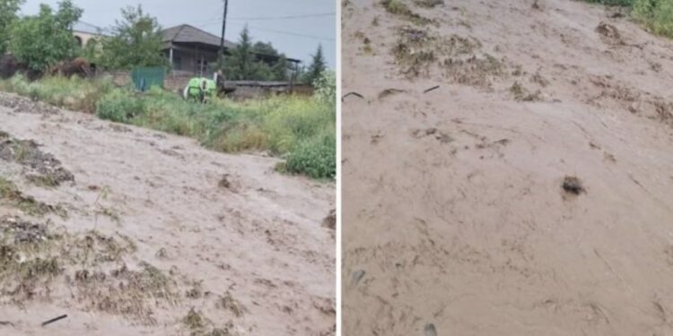 კახეთში სტიქია მძვინვარებს,რა ინფორმაცია გავრცელდა ადგილიდან