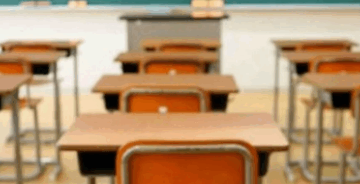 „ყველა მოსწავლისთვის სავალდებულო იქნება“ – რა სიახლე ამოქმედდება სკოლებში სექტემბრიდან?