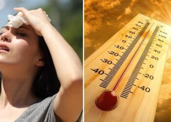 +33, +36 გრადუსი – ივნისის ამინდის განახლებული პროგნოზი